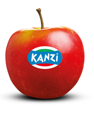 kanzi