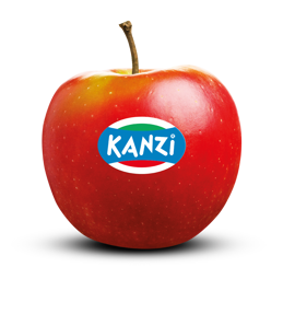 kanzi